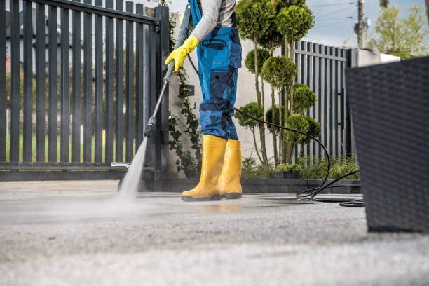 Best House Pressure Washing  in Inverness, CA